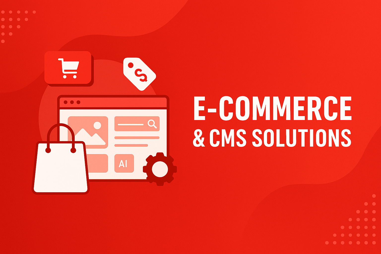 Ecommerce and CMS Development